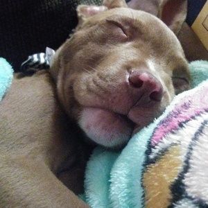 Meet your Posher, Ash